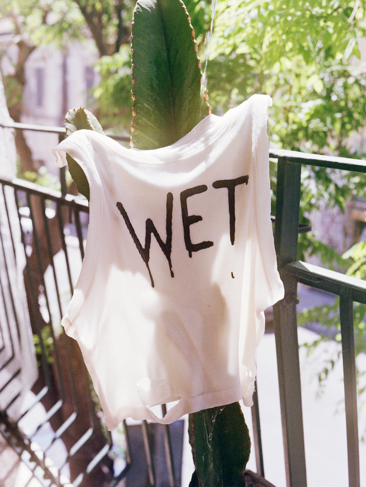 WET
